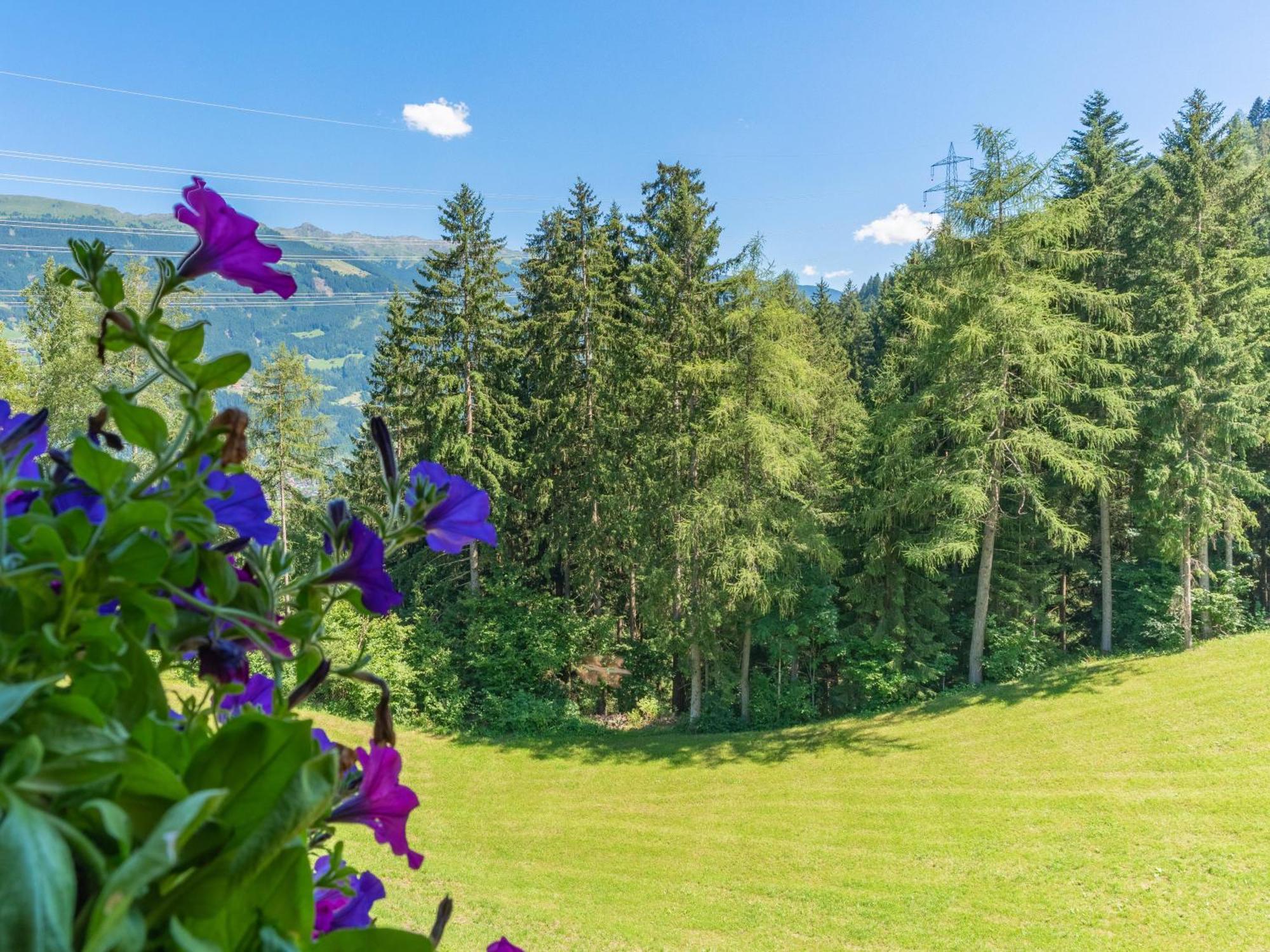 Wieshof Kaltenbach Quarto foto