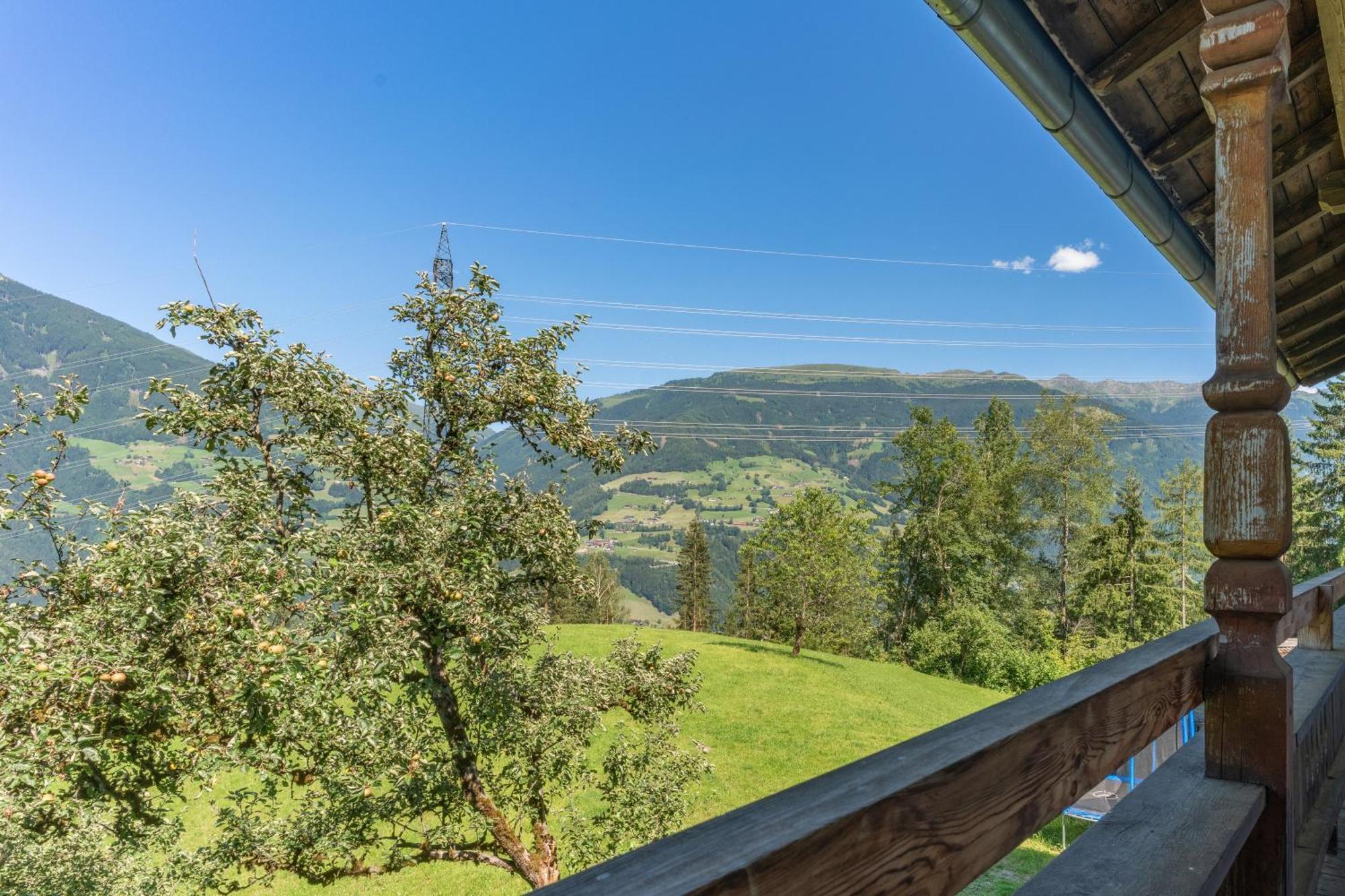 Wieshof Kaltenbach Quarto foto